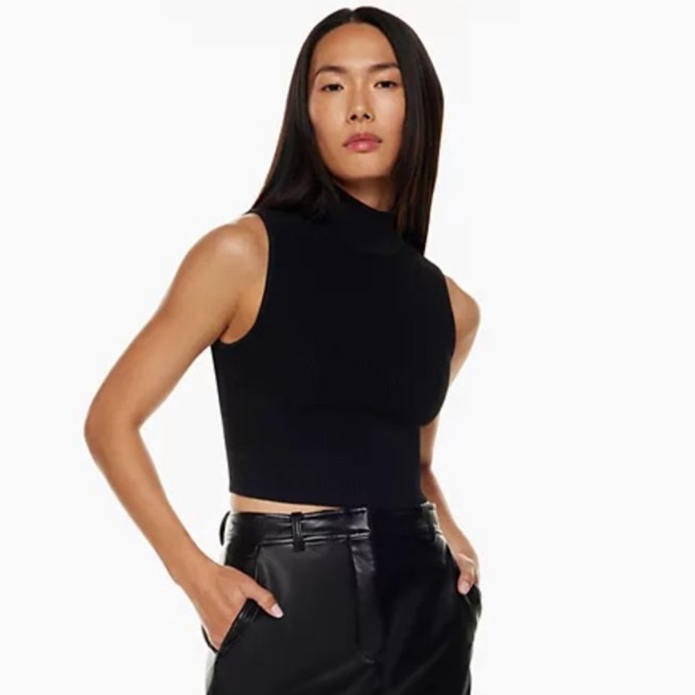 Aritzia Babaton Sculpt Knit Mockneck